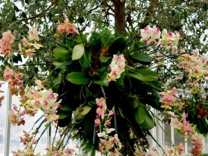 Different varieties of orchids create a lacy effect. The Orchid Show: Chandeliers, NYBG. Photo by Carole Di Tosti