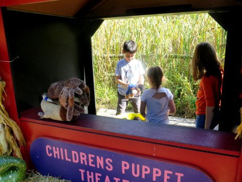 Everett Children's Adventure Garden, NYBG, Giant Pumpkin Weekend